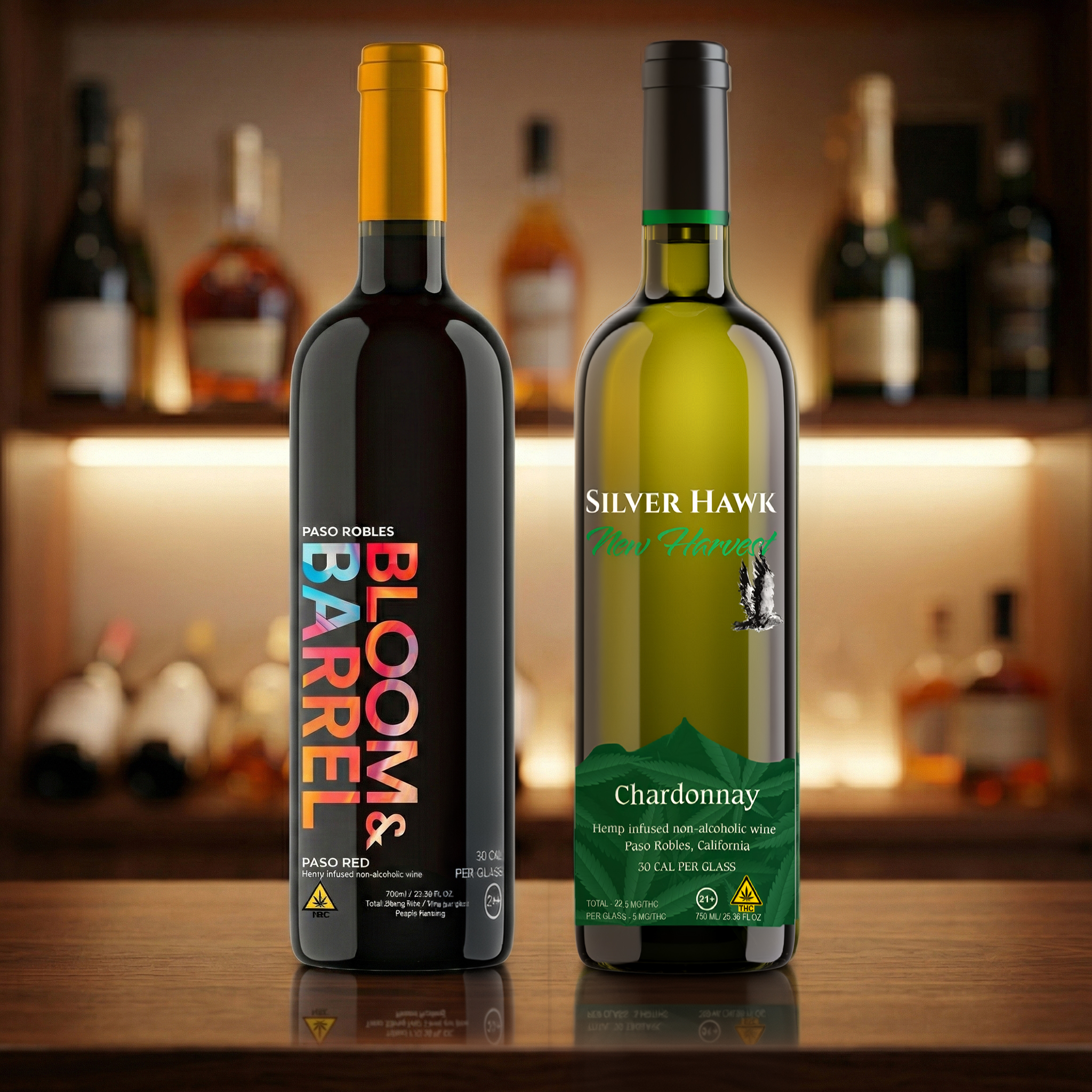 Silver Hawk Case Study